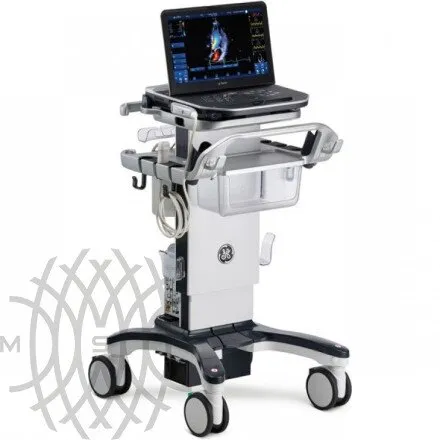 GE HealthCare Vivid iQ УЗИ аппарат портативный